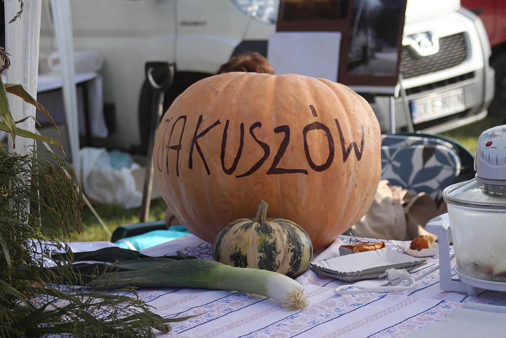 Kartoflisko w Gniewomirowicach