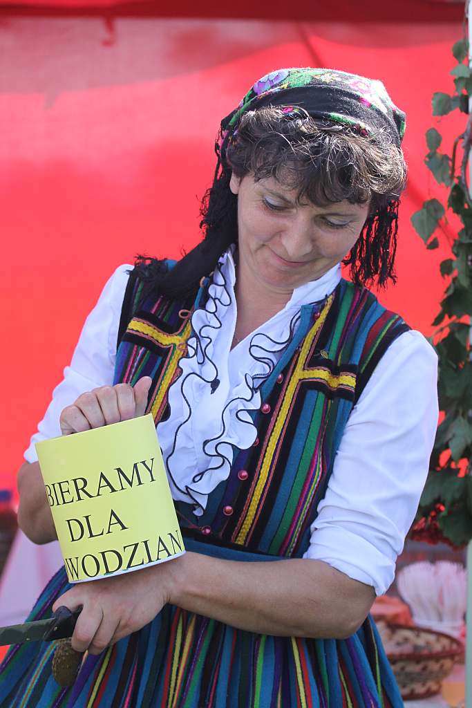 Dożynki Sołeckie w Krotoszycach