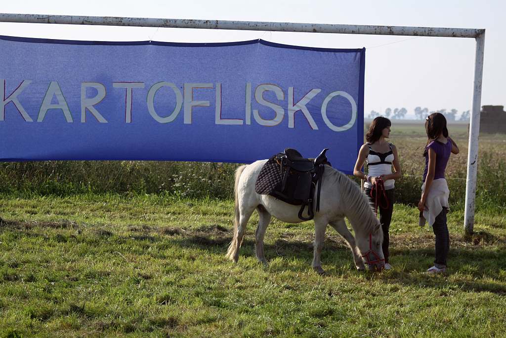 Kartoflisko w Gniewomirowicach