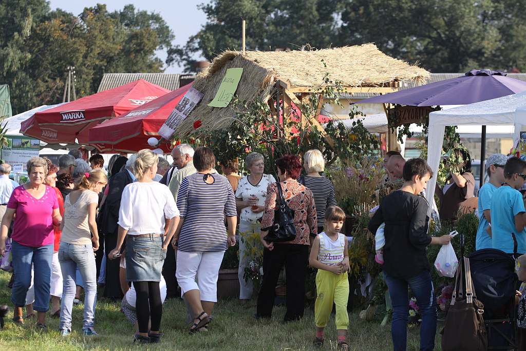 Kartoflisko w Gniewomirowicach