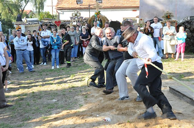 Dożynki Gminne w Prochowicach