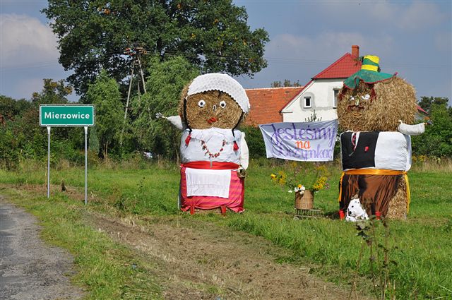Dożynki Gminne w Prochowicach