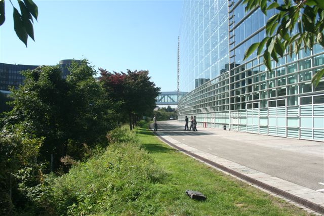 Lca.pl w Strasburgu