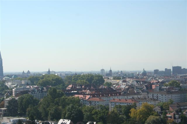 Lca.pl w Strasburgu