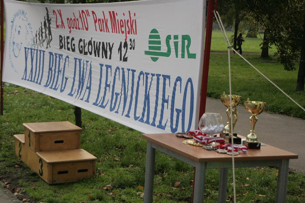 Bieg Lwa - dekoracja