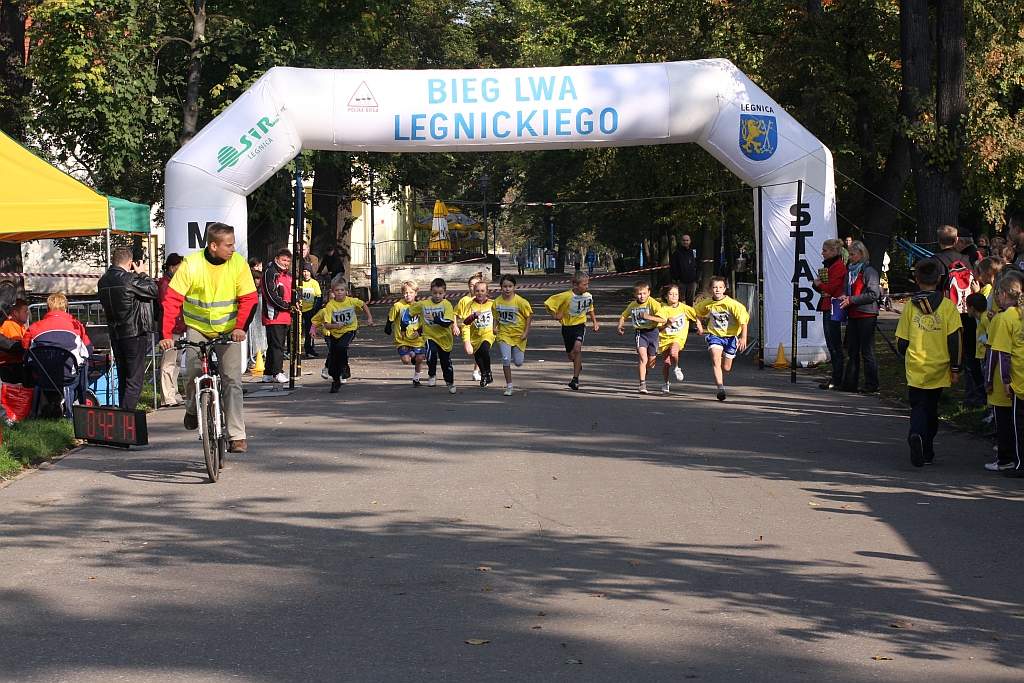Bieg Lwa Legnickiego