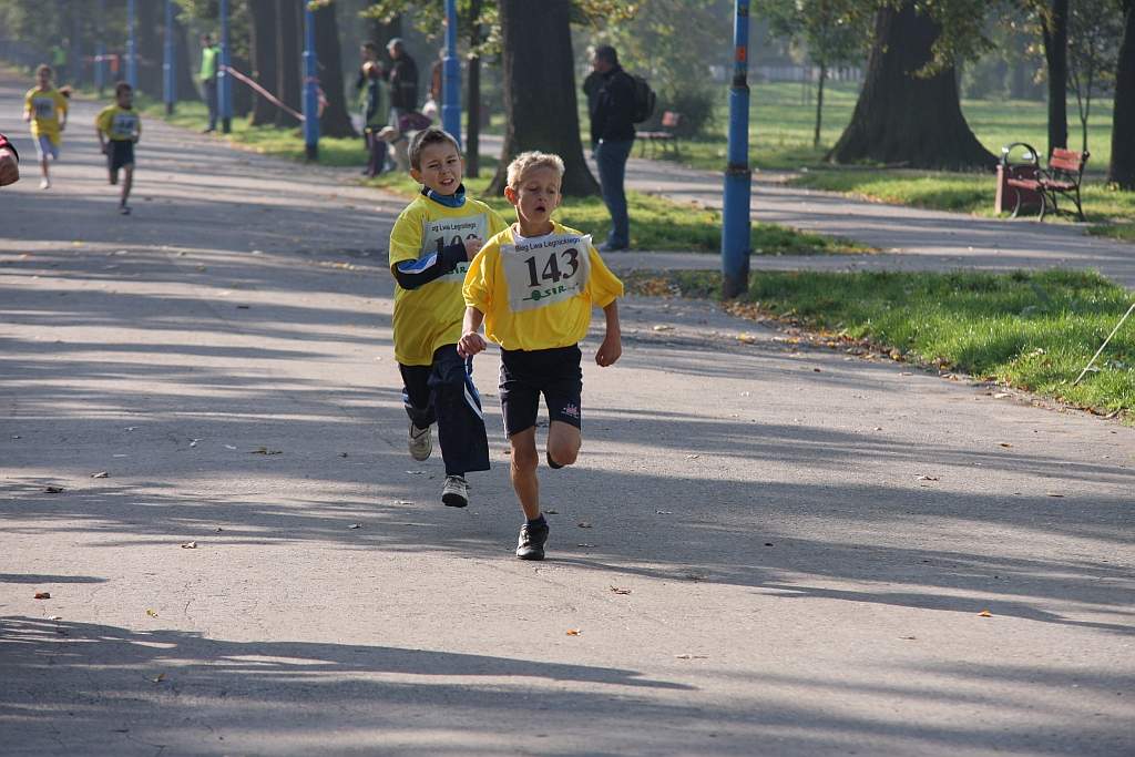 Bieg Lwa Legnickiego