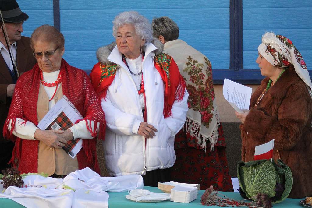 Gęsina na św. Marcina