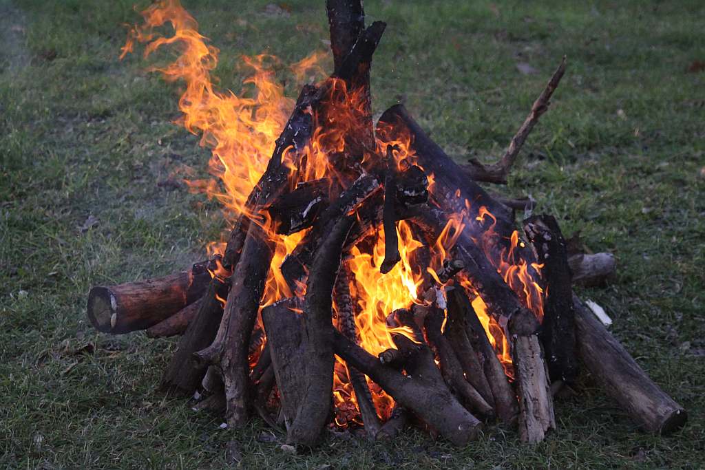 Gęsina na św. Marcina