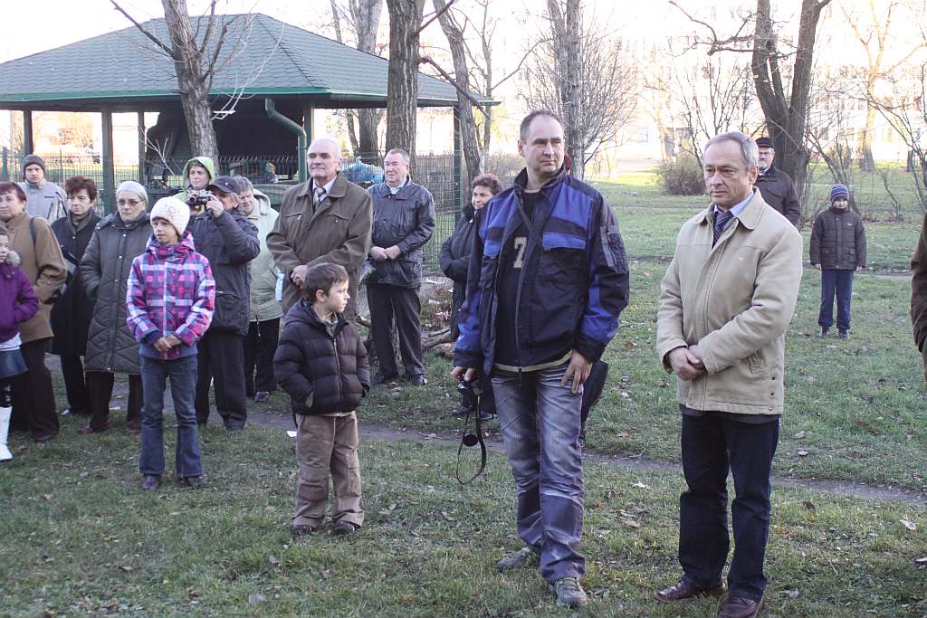 Gęsina na św. Marcina