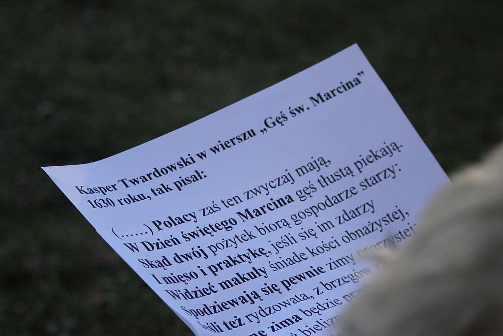 Gęsina na św. Marcina