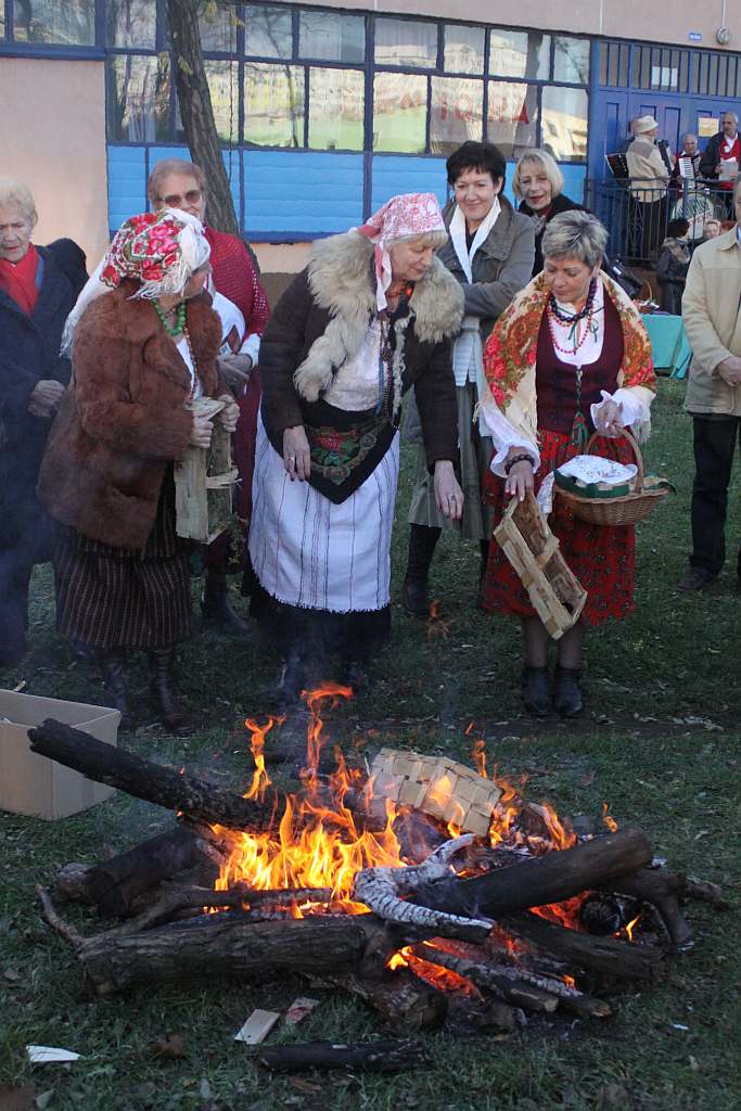Gęsina na św. Marcina