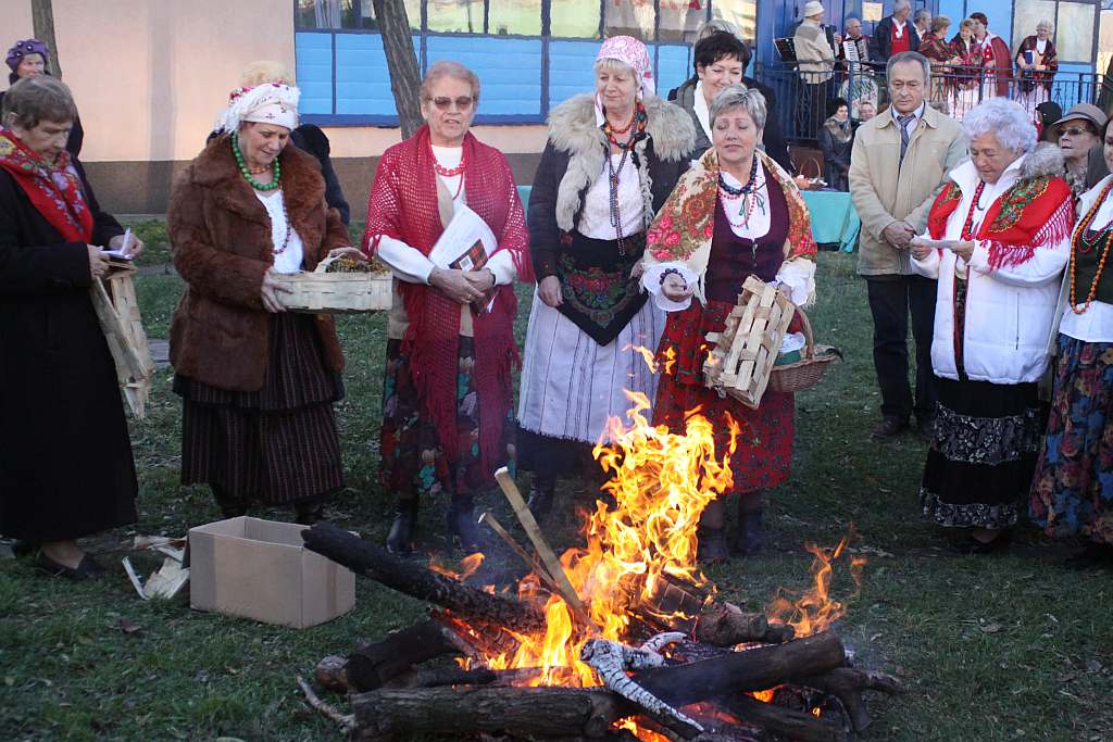 Gęsina na św. Marcina
