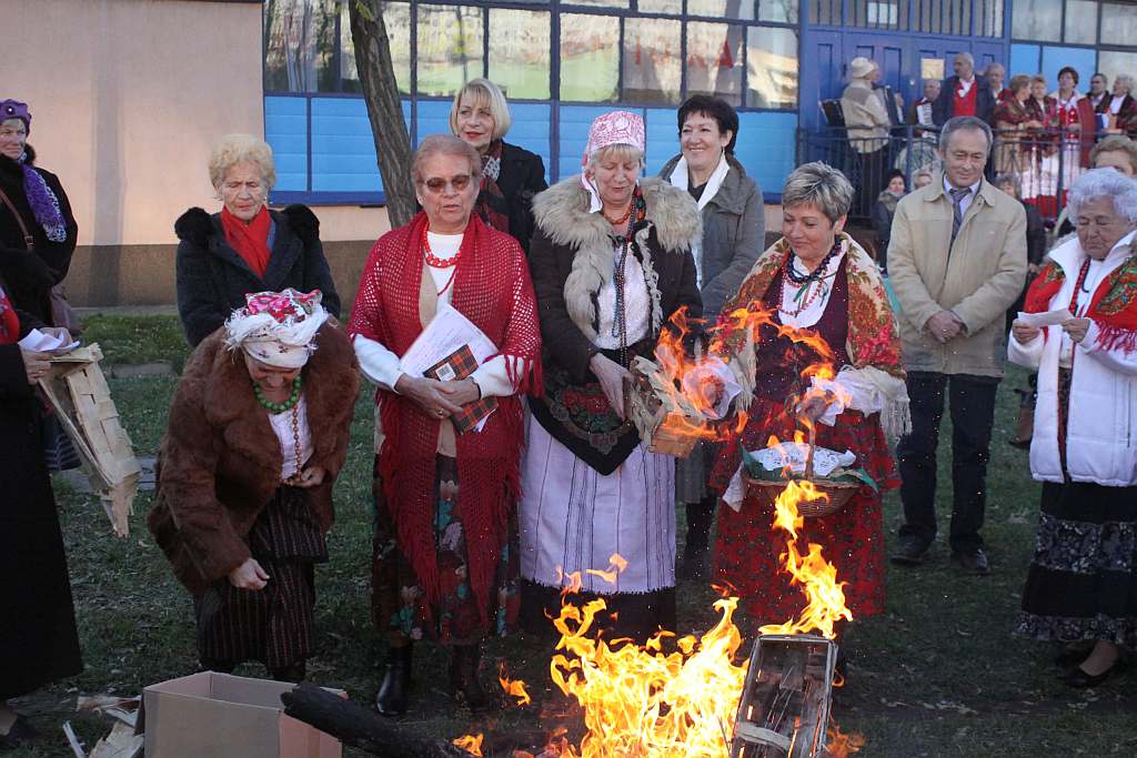 Gęsina na św. Marcina