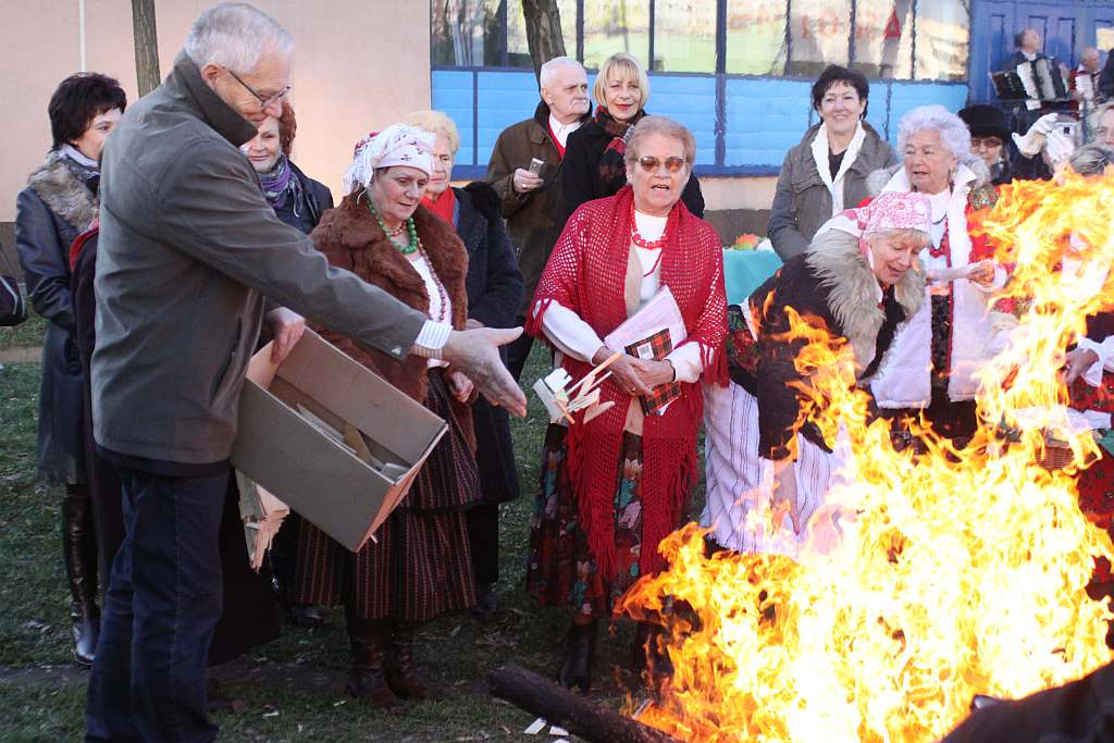 Gęsina na św. Marcina