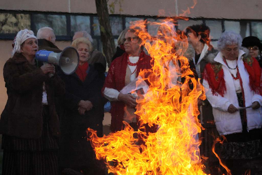 Gęsina na św. Marcina