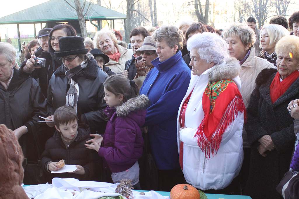 Gęsina na św. Marcina