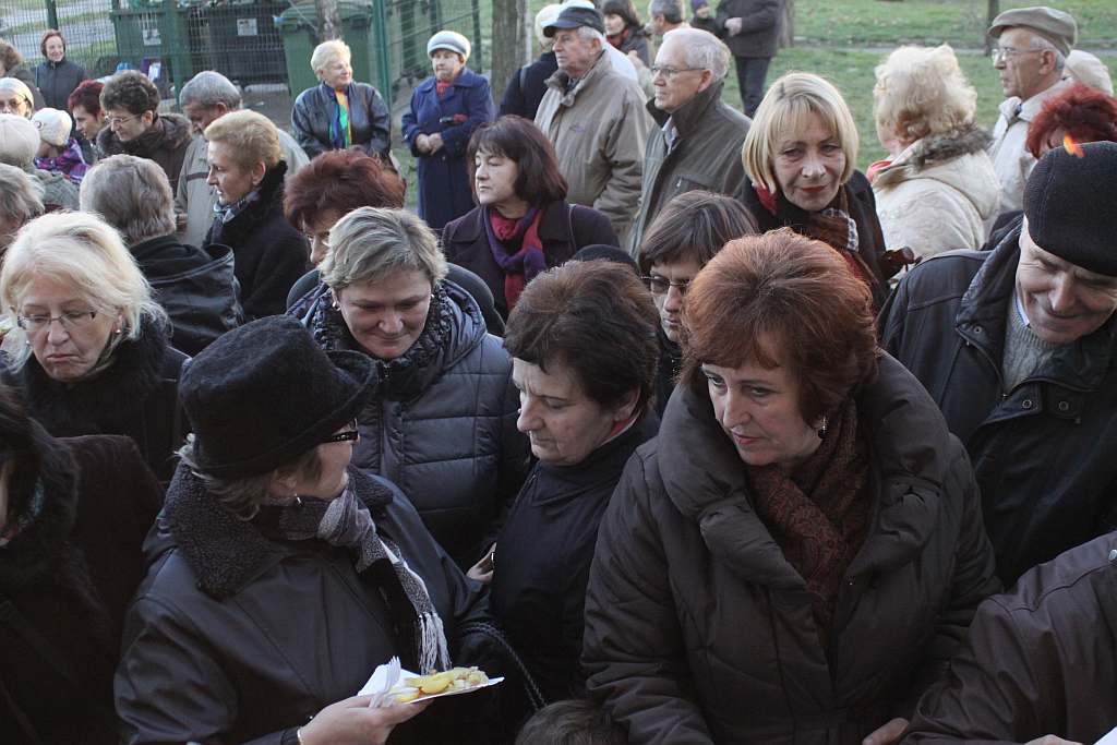 Gęsina na św. Marcina