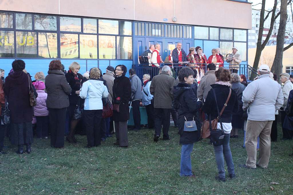 Gęsina na św. Marcina