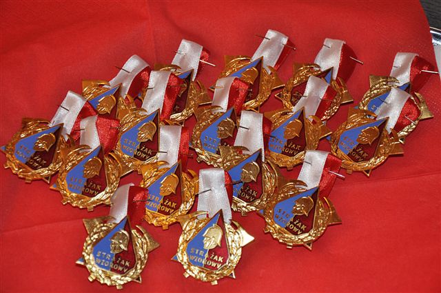 Prochowice: Wzorowy Strażak