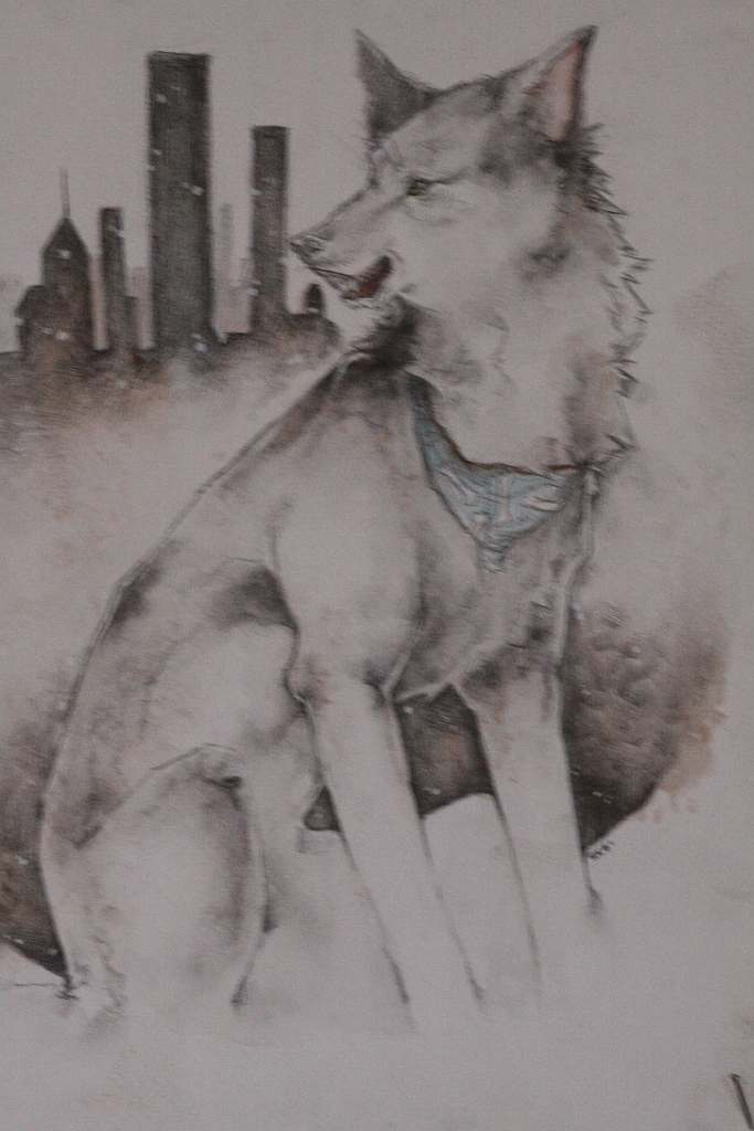 Psiaki, kociaki i inne zwierzaki