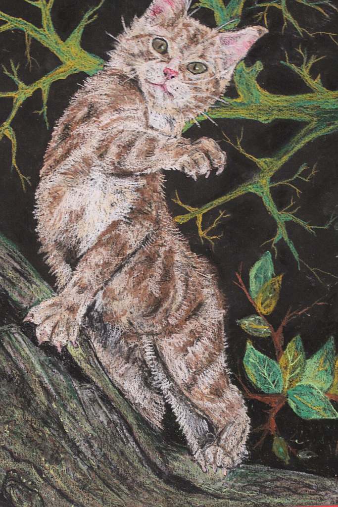 Psiaki, kociaki i inne zwierzaki