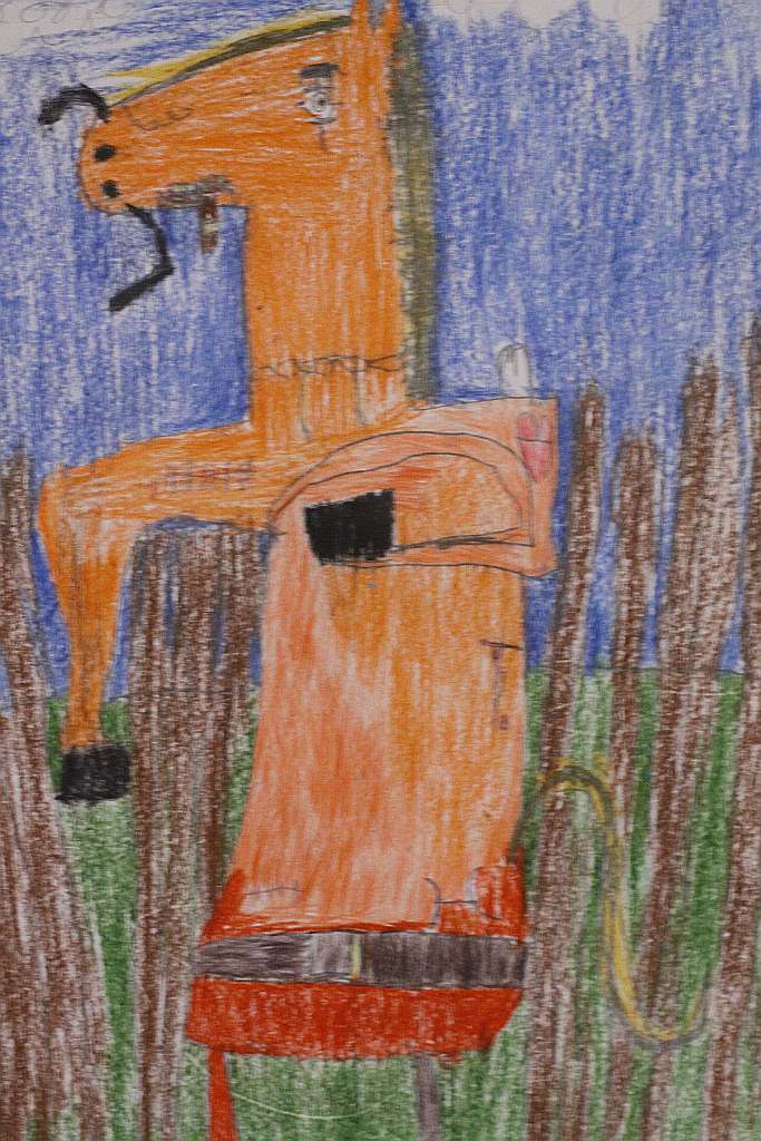 Psiaki, kociaki i inne zwierzaki