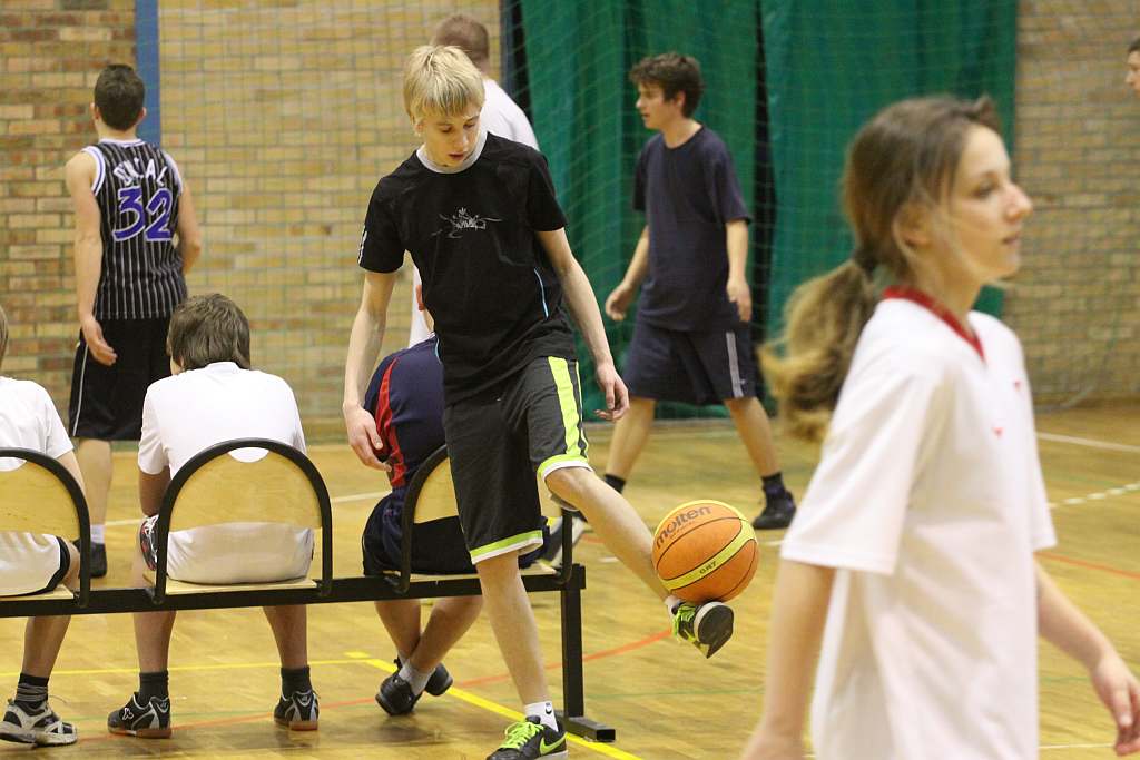 Trio Basket 2011