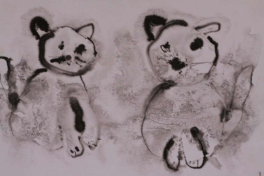 Psiaki, kociaki i inne zwierzaki