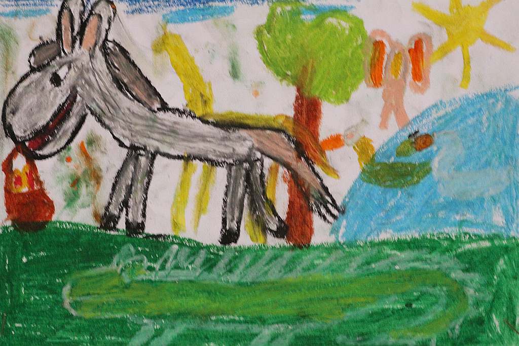 Psiaki, kociaki i inne zwierzaki