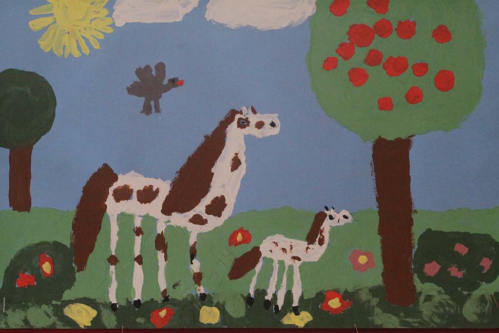 Psiaki, kociaki i inne zwierzaki