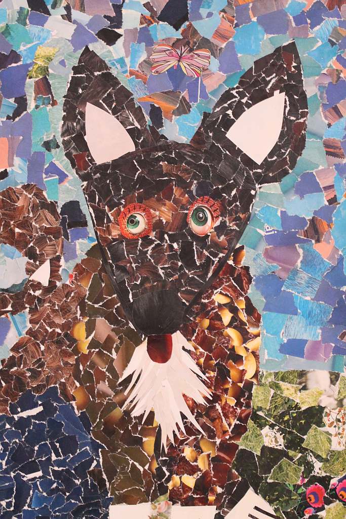 Psiaki, kociaki i inne zwierzaki