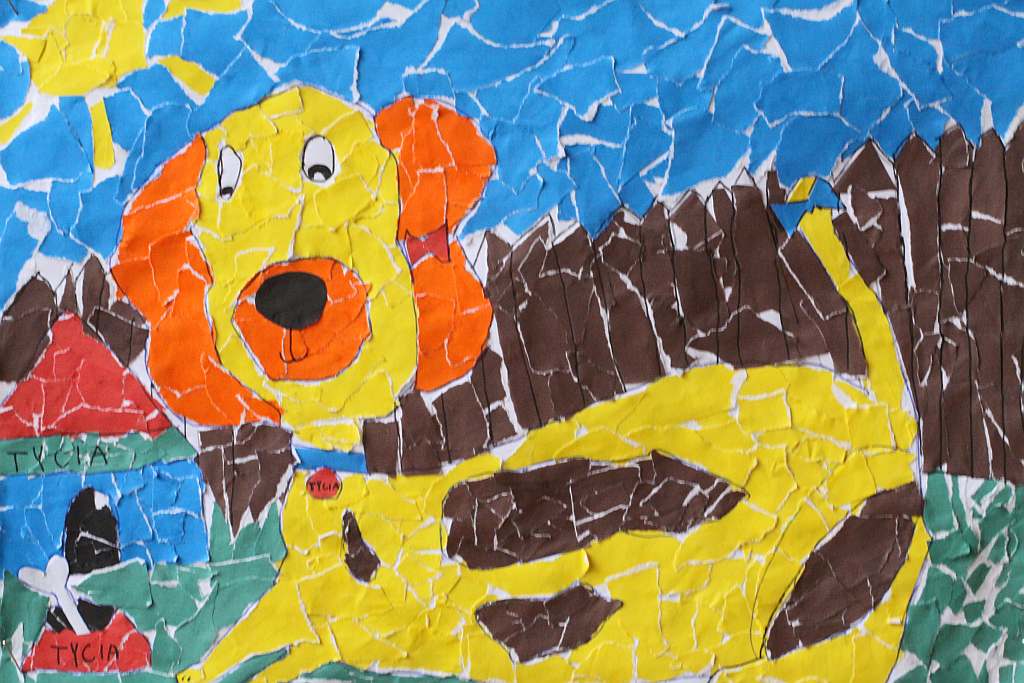 Psiaki, kociaki i inne zwierzaki