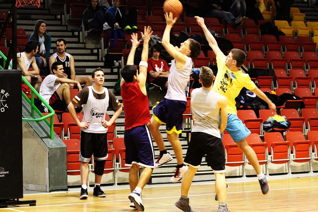 Trio Basket 2011
