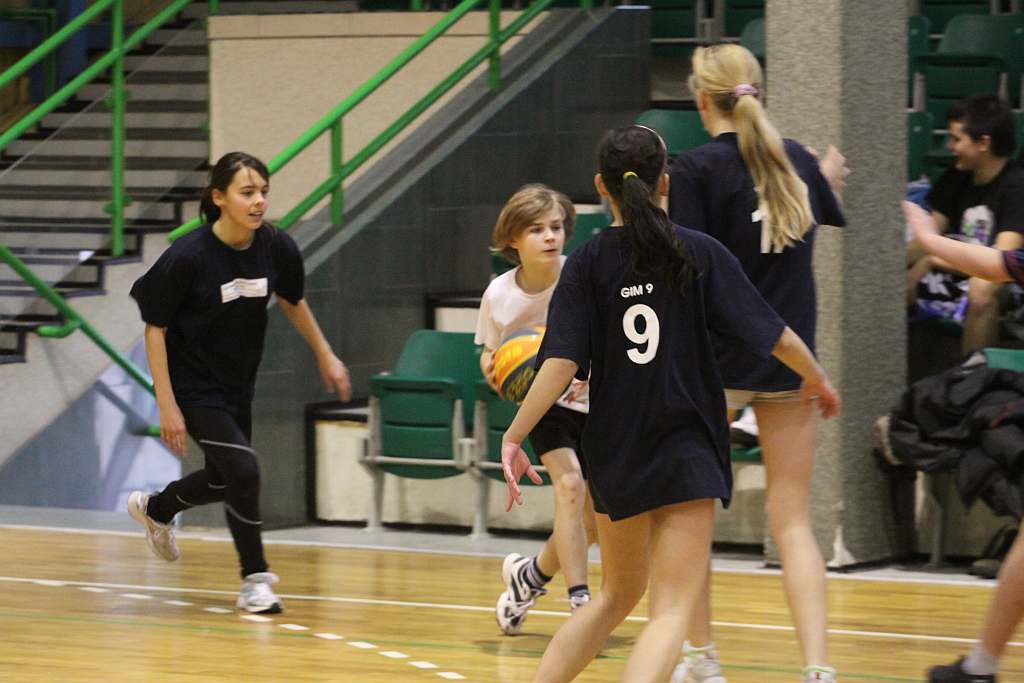 Trio Basket 2011