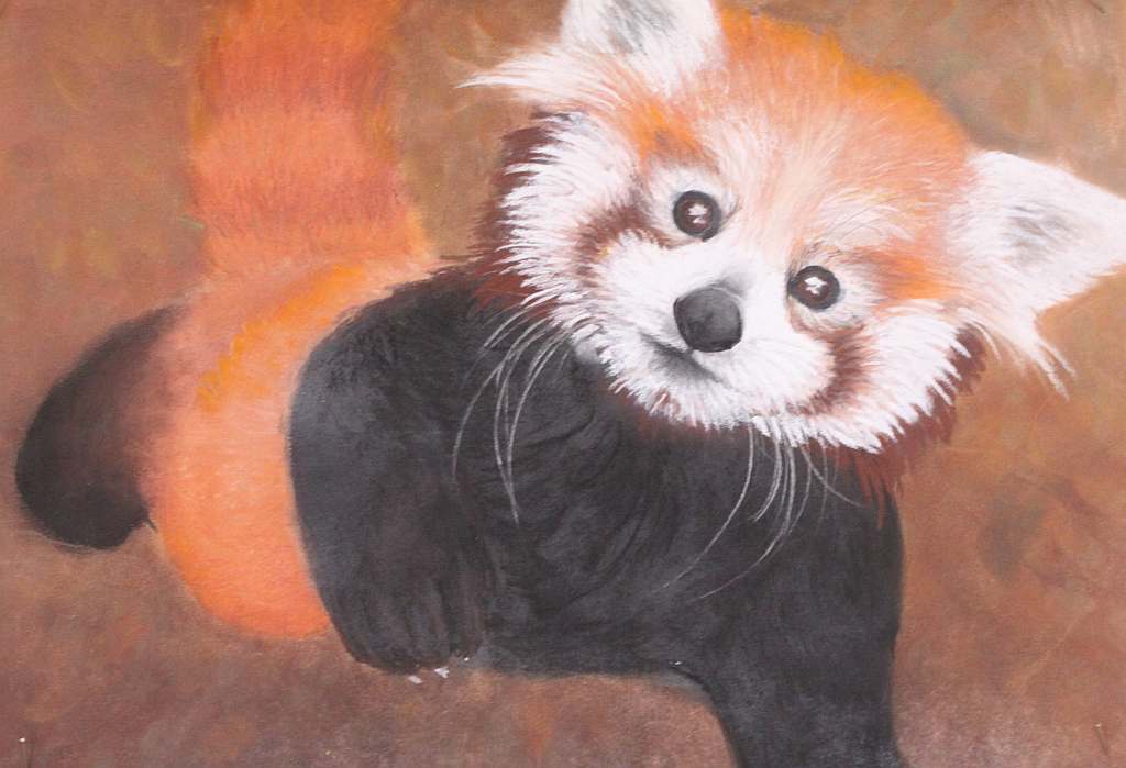 Psiaki, kociaki i inne zwierzaki