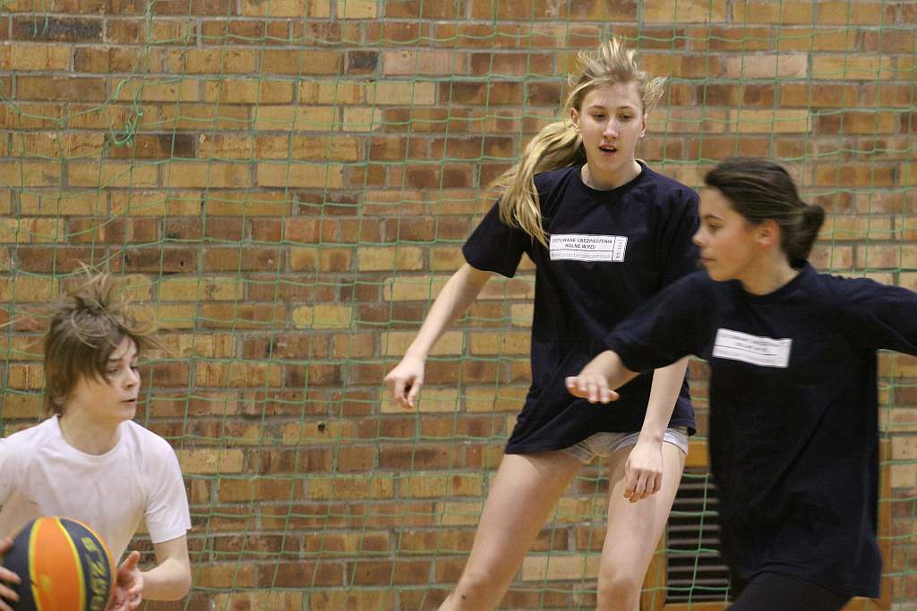 Trio Basket 2011