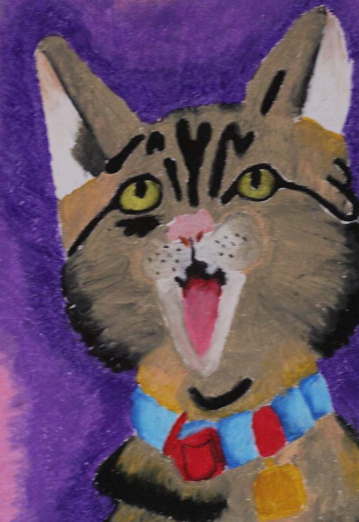 Psiaki, kociaki i inne zwierzaki