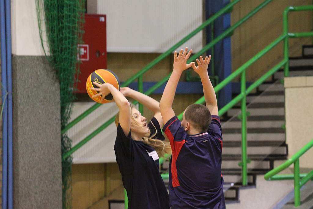 Trio Basket 2011