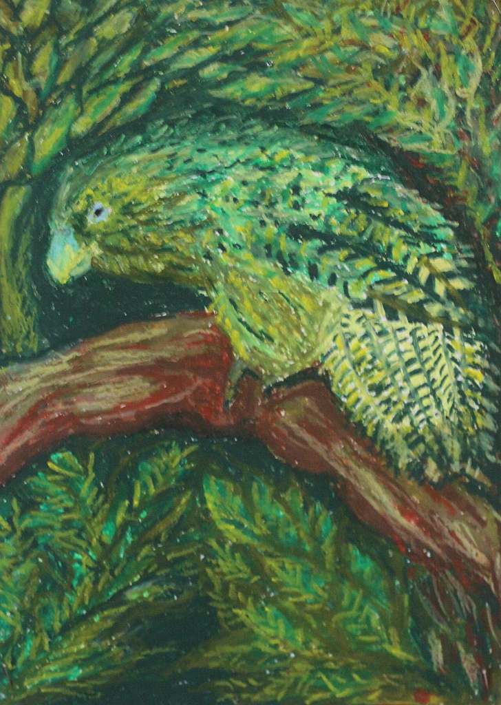 Psiaki, kociaki i inne zwierzaki