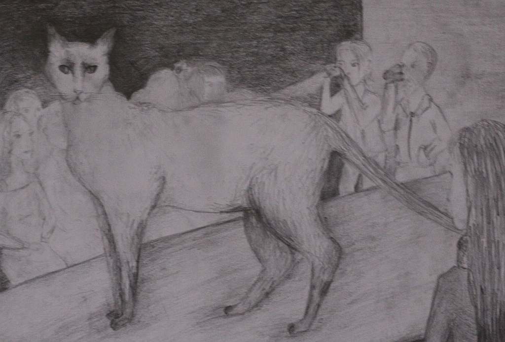 Psiaki, kociaki i inne zwierzaki