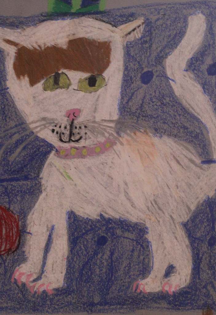 Psiaki, kociaki i inne zwierzaki