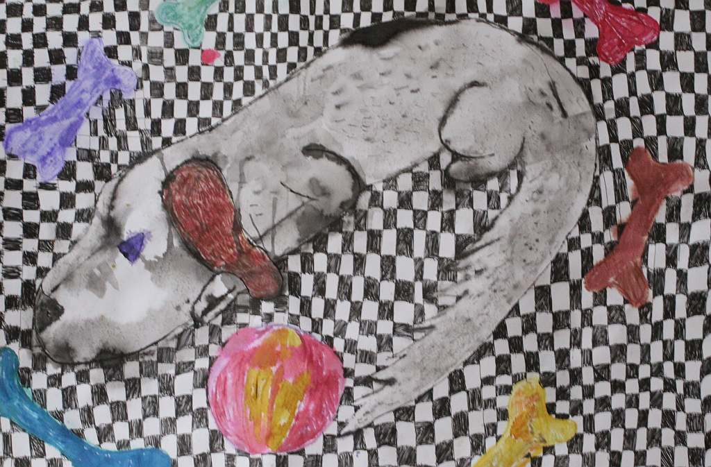 Psiaki, kociaki i inne zwierzaki