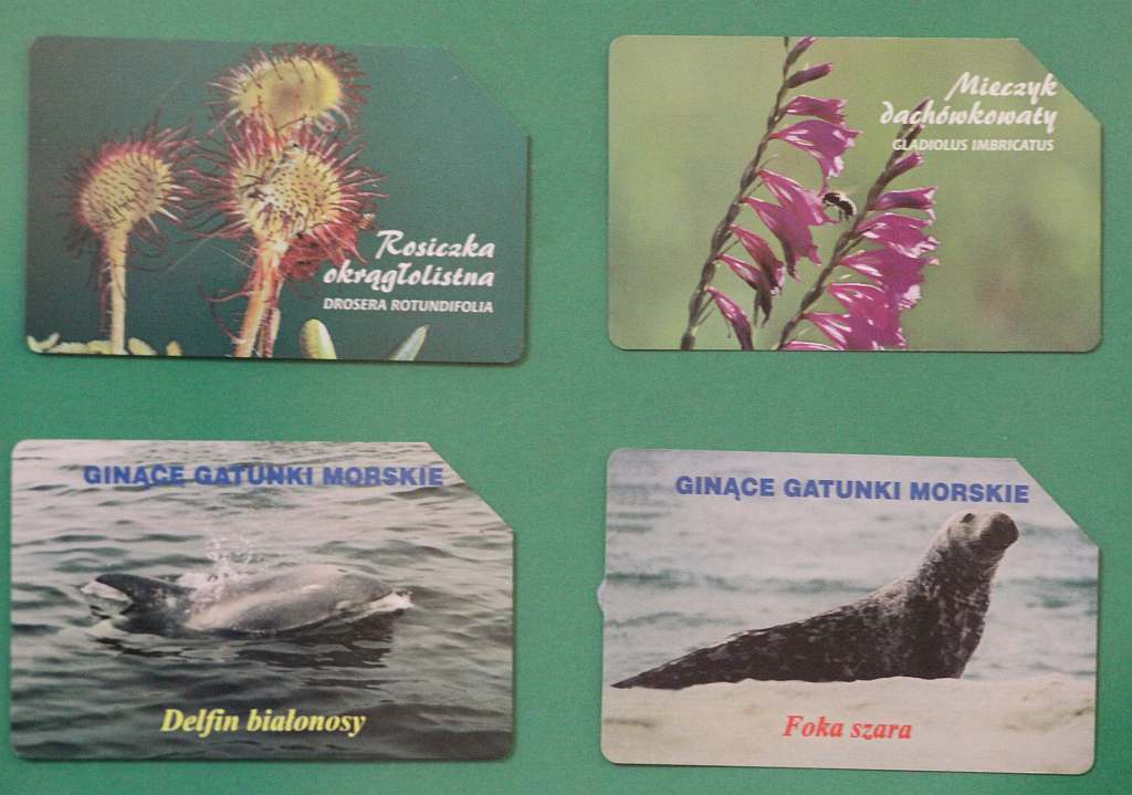 Wystawa kart telefonicznych