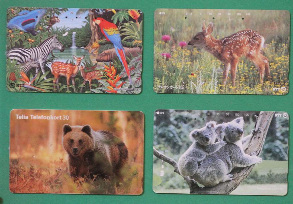 Wystawa kart telefonicznych