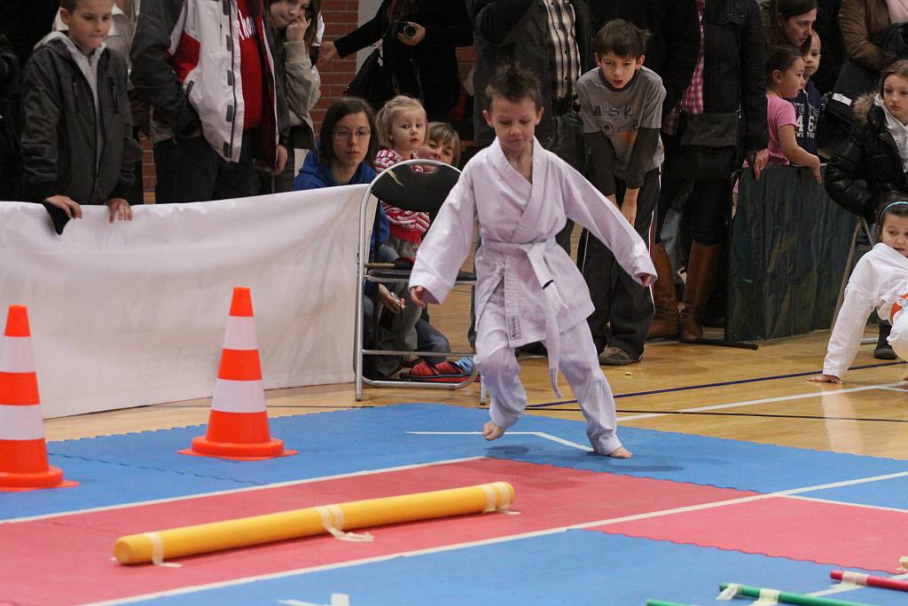 Shotokan na legnickich Piekarach