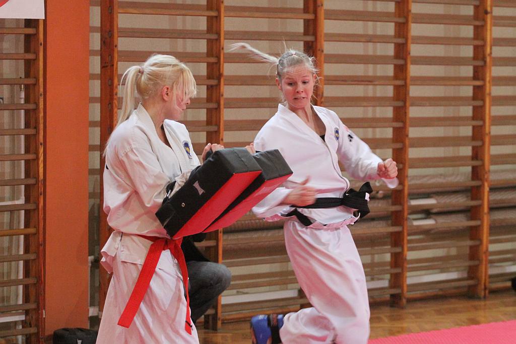 Trening Legnickiego Klubu Taekwondo