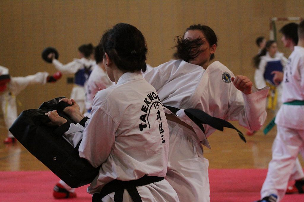 Trening Legnickiego Klubu Taekwondo