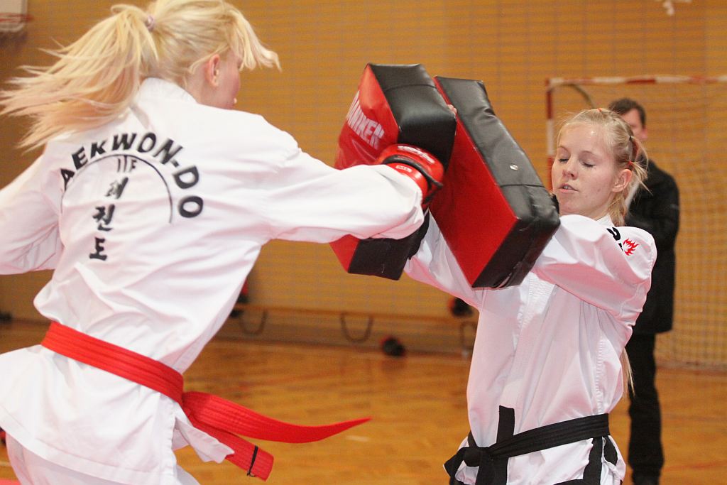 Trening Legnickiego Klubu Taekwondo