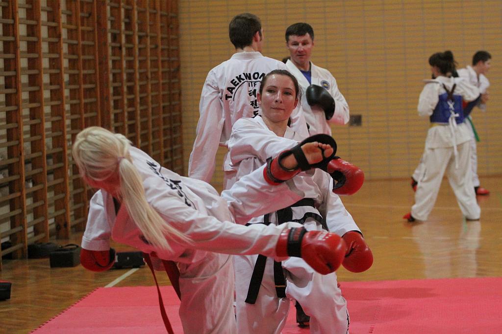 Trening Legnickiego Klubu Taekwondo